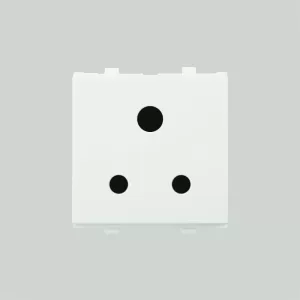 2 Pin Socket